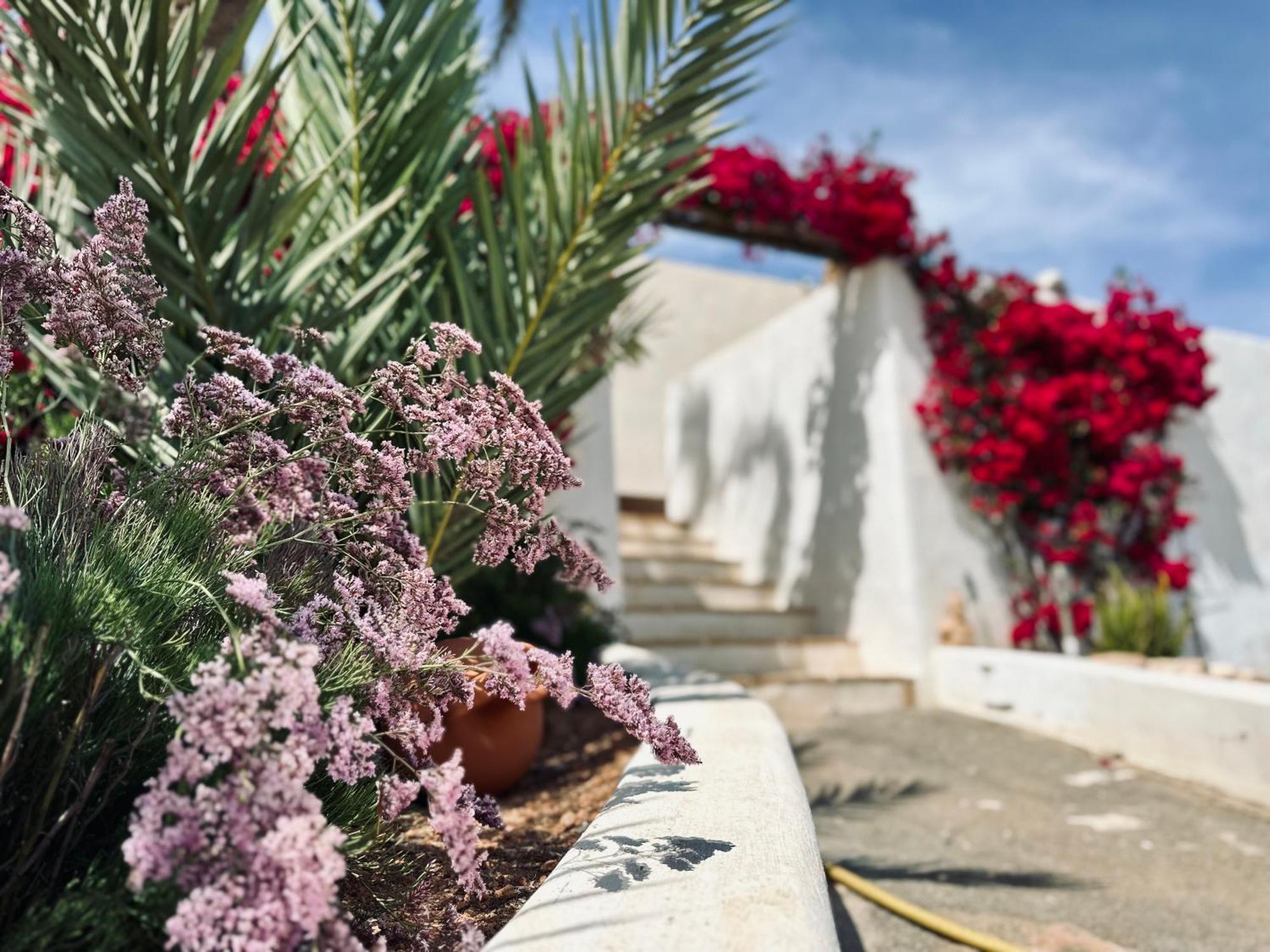 Finca Ocha - Calblanque لوس بيلونيس المظهر الخارجي الصورة