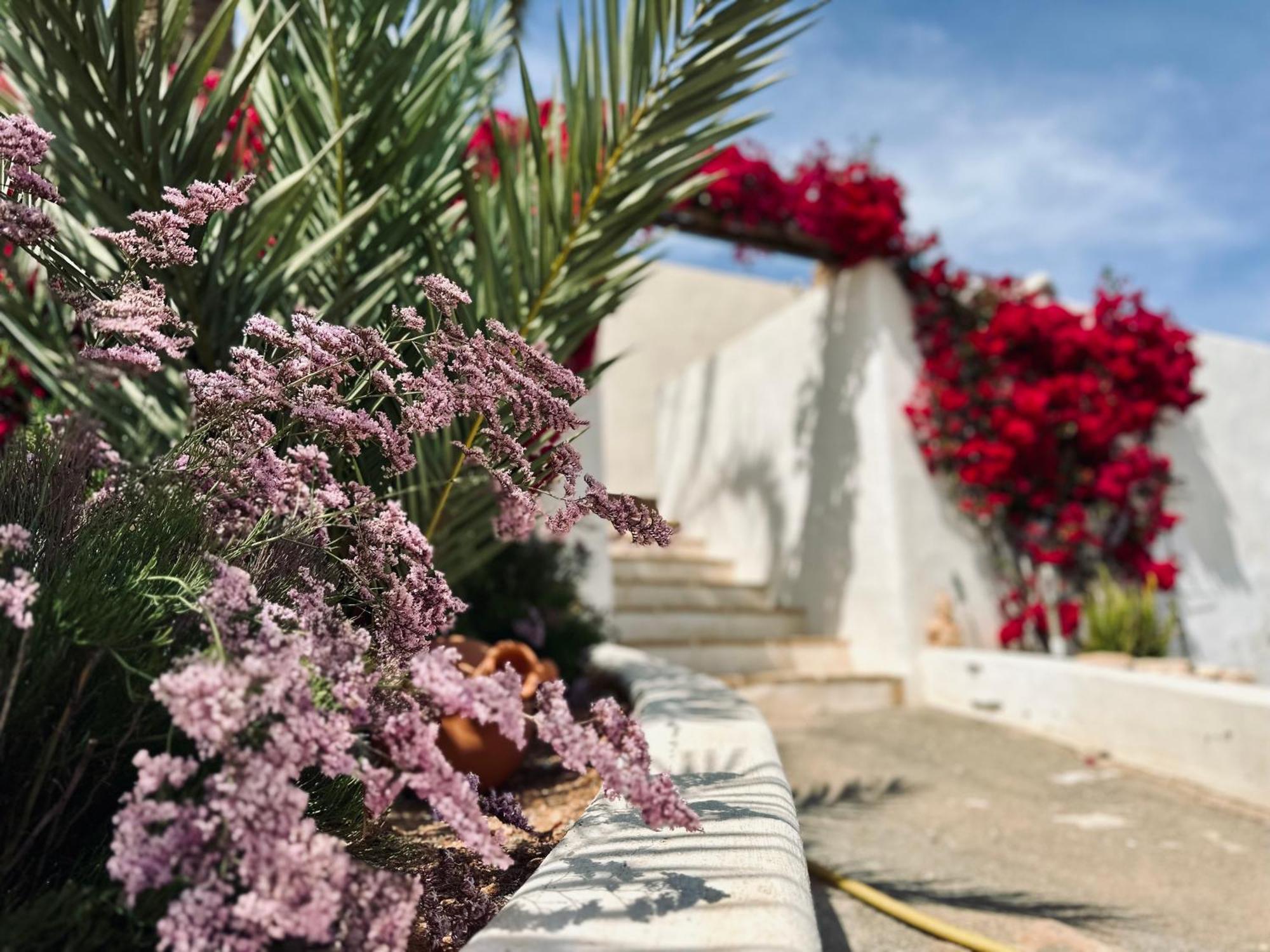 Finca Ocha - Calblanque لوس بيلونيس المظهر الخارجي الصورة