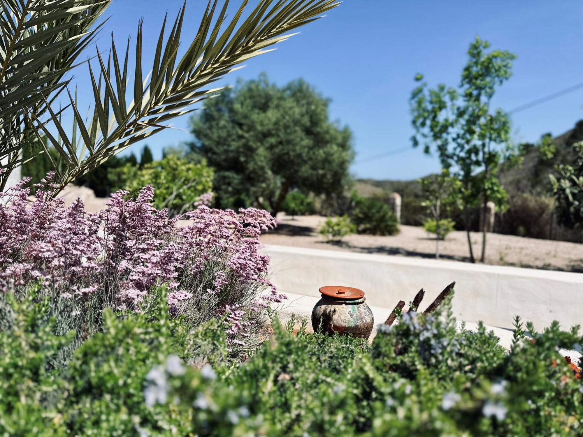 Finca Ocha - Calblanque لوس بيلونيس المظهر الخارجي الصورة