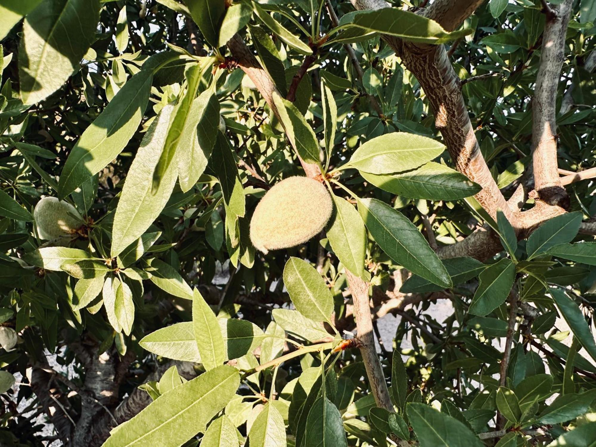 Finca Ocha - Calblanque لوس بيلونيس المظهر الخارجي الصورة