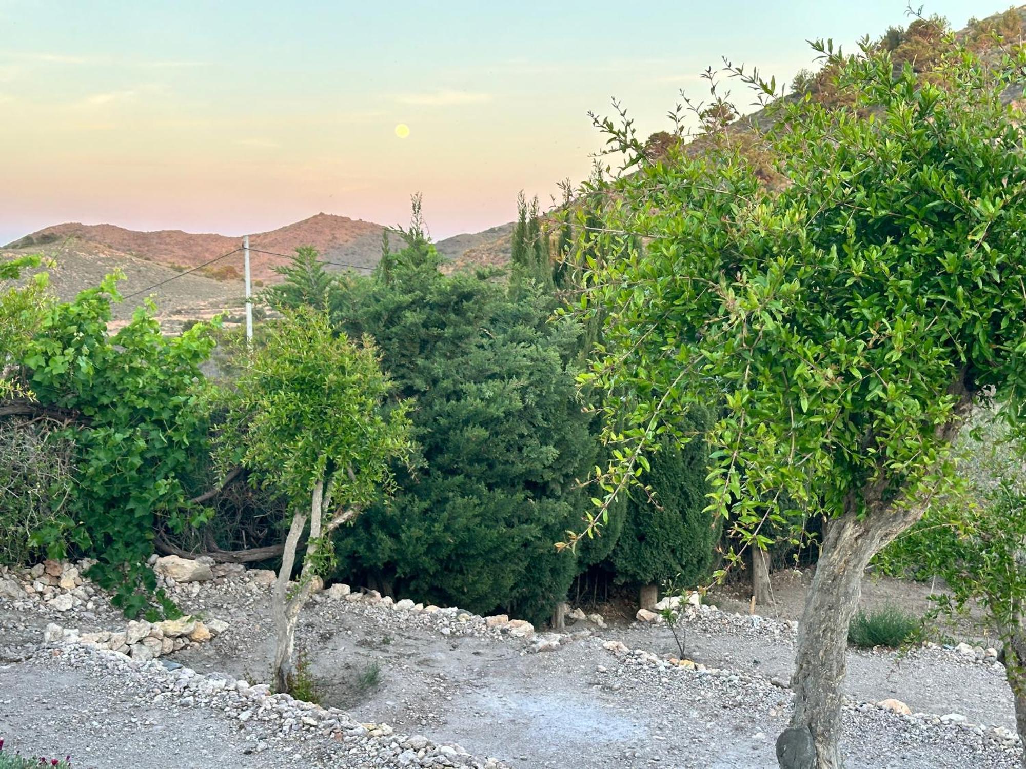 Finca Ocha - Calblanque لوس بيلونيس المظهر الخارجي الصورة