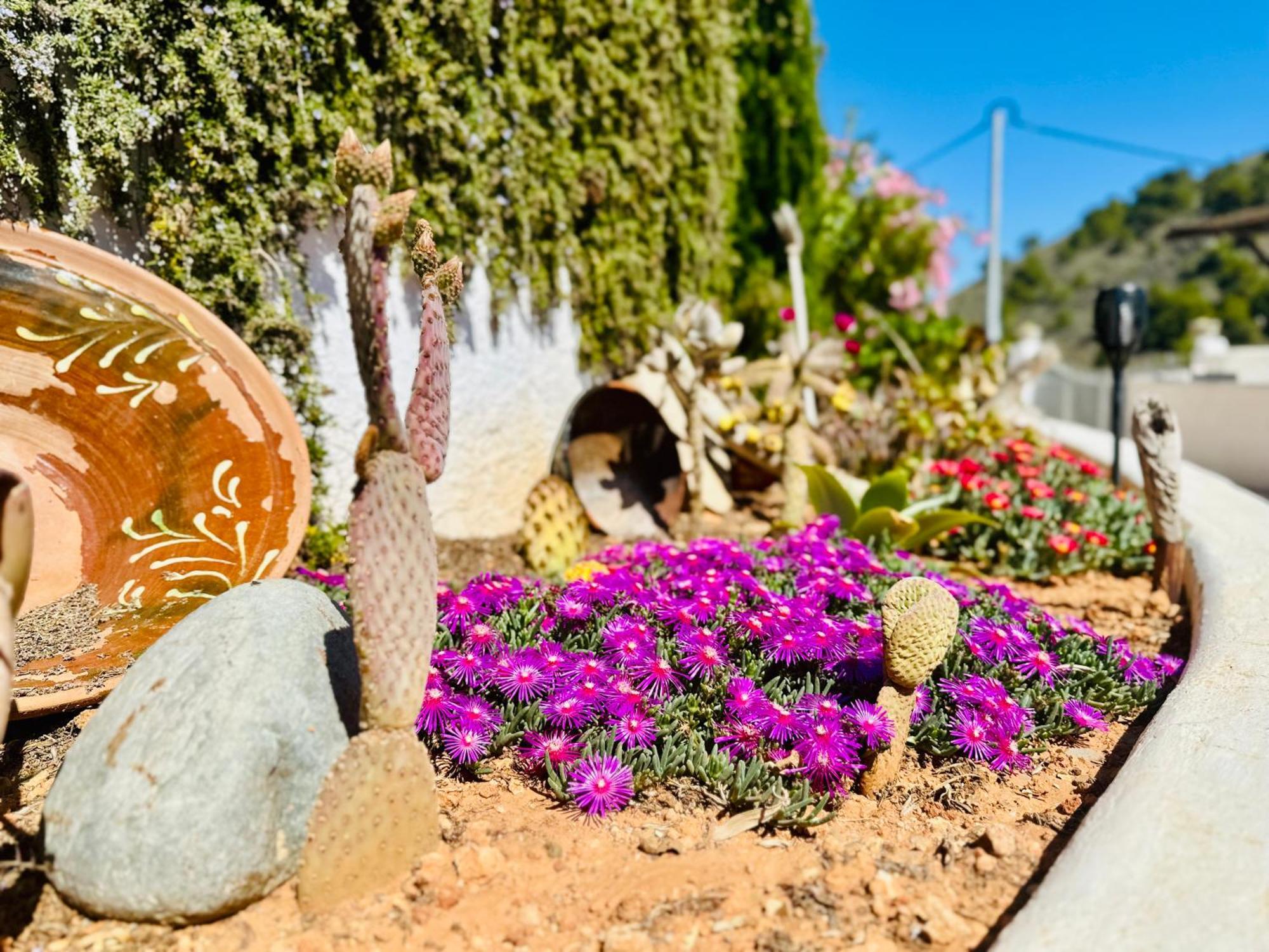 Finca Ocha - Calblanque لوس بيلونيس المظهر الخارجي الصورة