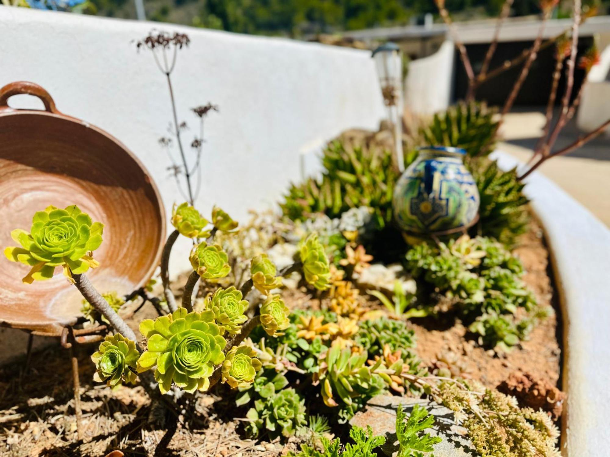 Finca Ocha - Calblanque لوس بيلونيس المظهر الخارجي الصورة