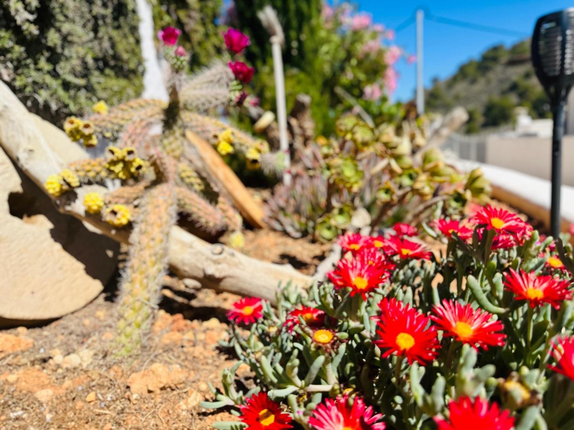 Finca Ocha - Calblanque لوس بيلونيس المظهر الخارجي الصورة