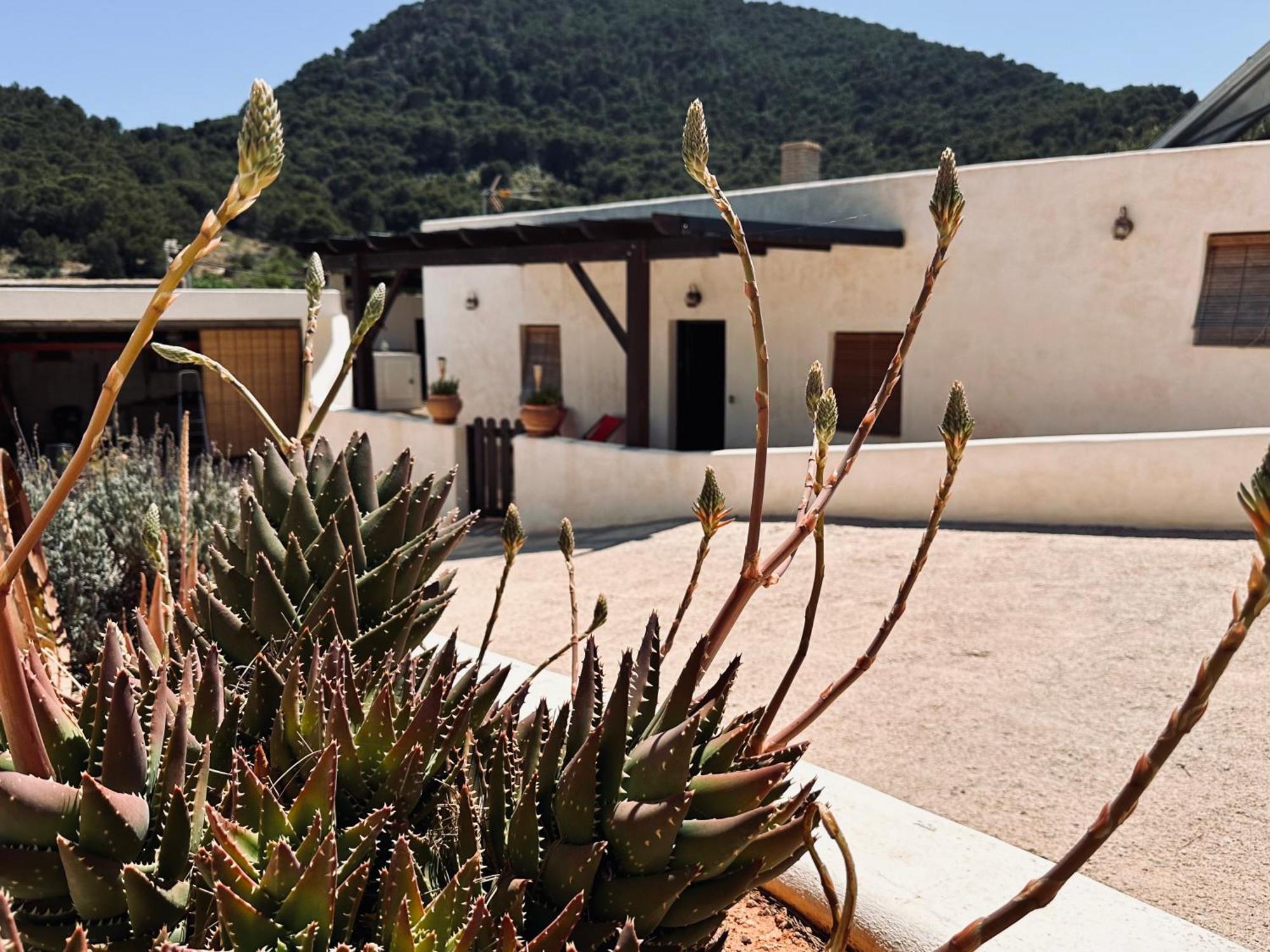 Finca Ocha - Calblanque لوس بيلونيس المظهر الخارجي الصورة