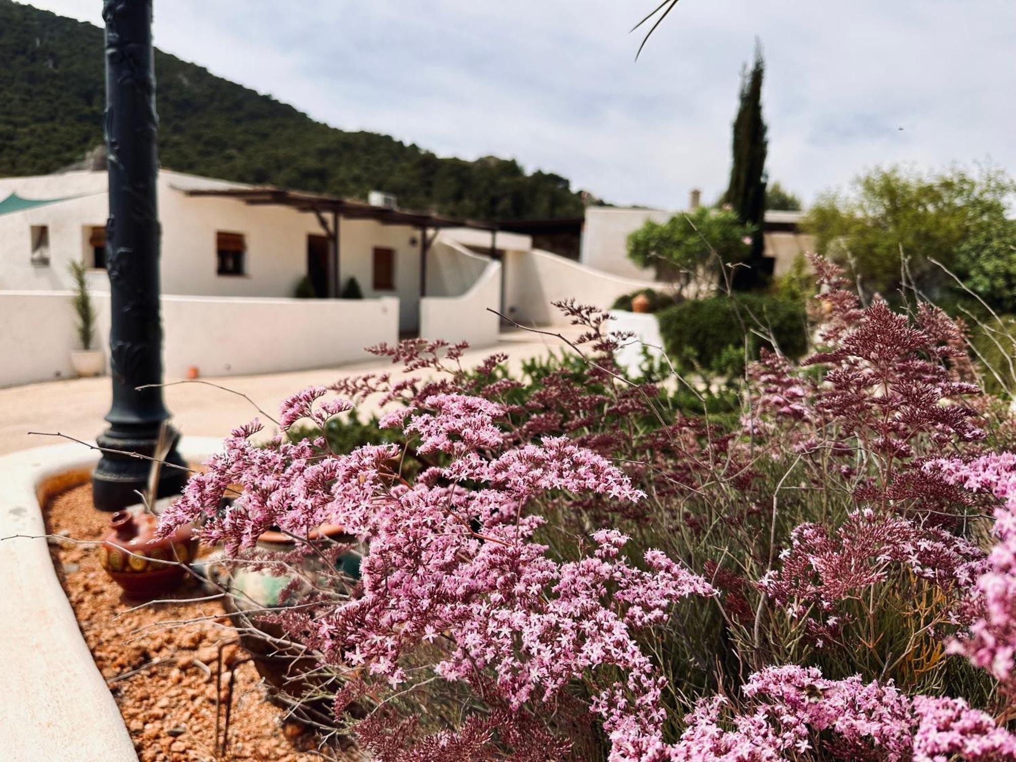 Finca Ocha - Calblanque لوس بيلونيس المظهر الخارجي الصورة