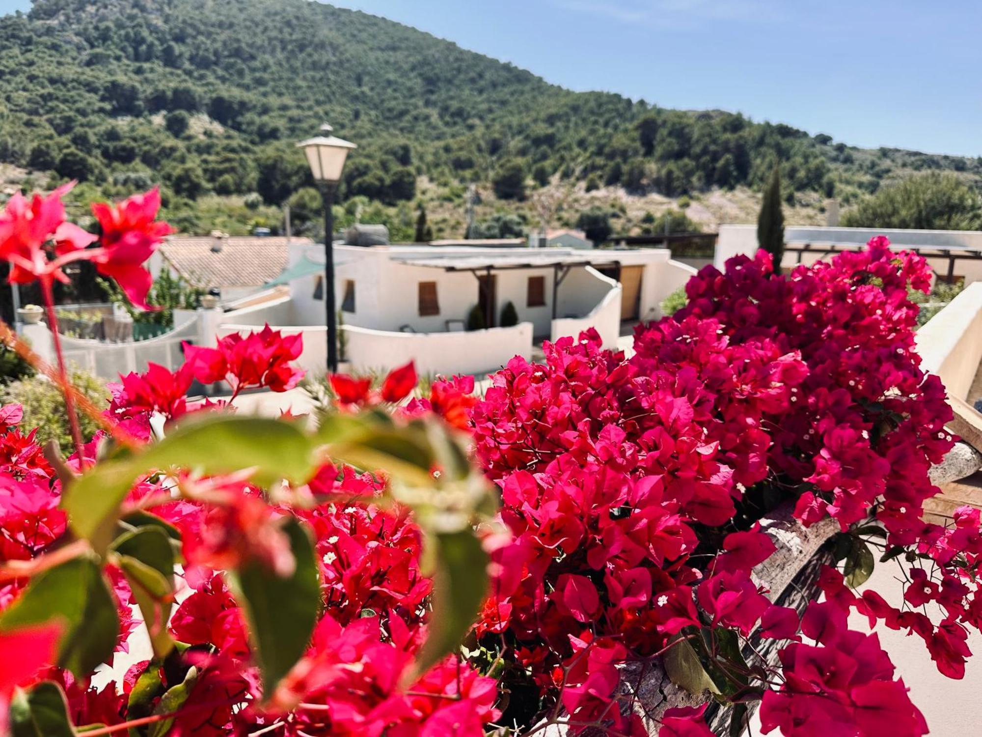 Finca Ocha - Calblanque لوس بيلونيس المظهر الخارجي الصورة